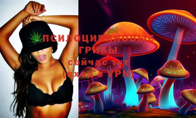 Галлюциногенные грибы MAGIC MUSHROOMS Верхний Тагил